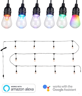 12 LED Lights Remote Controllable Festoon Kit