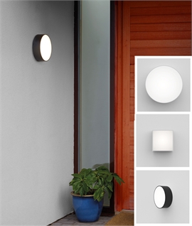 Corrosion Resistant LED Bulkhead Light - Wall or Ceiling