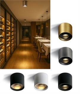 High Power Surface Mounted Downlight - 1540 lumens for high ceilings and commercial spaces