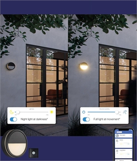 Dual LED Exterior Light - Twilight and Movement Sensor