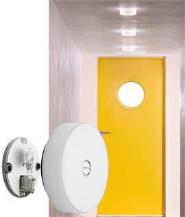 Mini Button Wall or Ceiling Round Light by Flos 