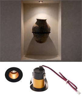 Premium Recessed 45mm Niche Downlight with Black Bezel and Gold Reflector