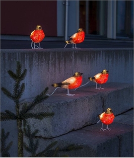 Outdoor LED String Lights - 5 Robin Birds