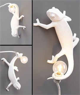 Seletti Chameleon - Designer Lighting you Can Hang on the Wall and Plug-In