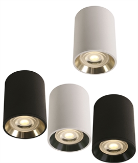 Cylinder Ceiling Mounted Downlight - 4 Options