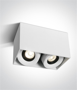 Surface-Mounted Downlight - Twin Adjustable Lamps