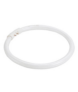 Circular T5 Tube Lamp 16mm in Multiple Sizes - Warm White and Neutral White Options