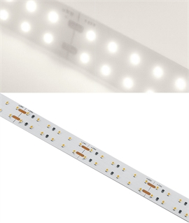 19.2W per Metre White LED Tape Light, 240 LEDs per Metre, 16mm Wide, 5m Reel