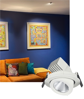 Mini Scoop Downlight With Built-in LED Lamps