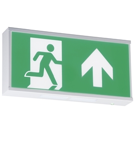 Wall Mounted Emergency Exit Sign