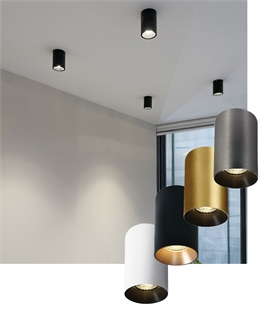 Ceiling Cylinder Downlight for GU10 Lamp - 4 Options