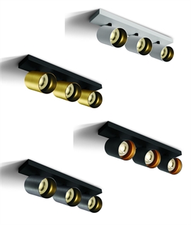 Linear Adjustable Spot Plate - 3 Adjustable Lampheads