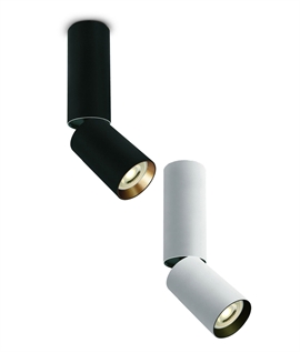 Long Cylinder Adjustable Surface Mounted Spotlight