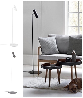 Floor Lamp with Adjustable Head for Reading 