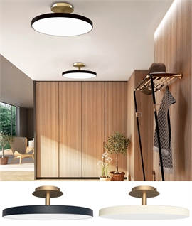 Modern Up & Down Ceiling Light - Brass Plate
