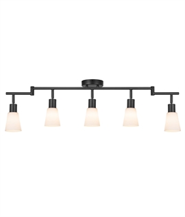 5 Light Adjustable Black Spot Bar with Glass Shades