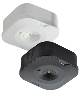 Non-Maintained Emergency Surface Mounted Downlight