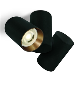 Ceiling Mounted Adjustable Double Lamp Spotlight