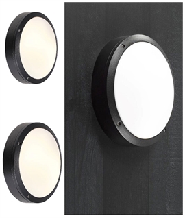IP44 Black & Opal Exterior Wall or Ceiling Light