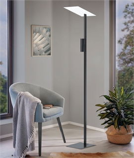 Direct and Indirect Adjustable Standard Reading Lamp
