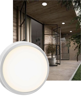 Budget Mini Exterior LED Wall or Ceiling Light - Round Drum 