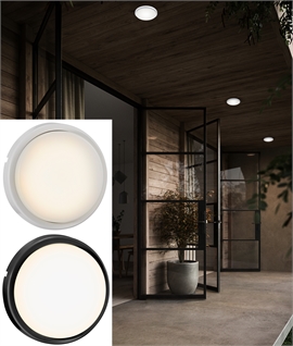 Budget Mini Exterior LED Wall or Ceiling Light - Round Drum 