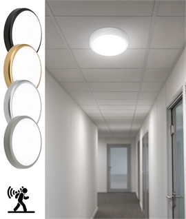Pro-HD Bulkhead Light - CCT Colour Temperature Adjustable