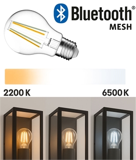Bluetooth Mesh CCT Filament Lamp – Clear Glass, Adjustable 2200K–6500K