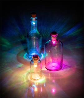 Wine or Spirit Bottle Light - Colour Changeable