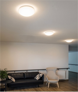 Domed LED Ceiling & Wall Light - 3 Sizes Available