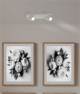 Double Flush Mounted Adjustable Spot Bar