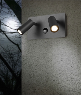 Exterior Wall Mounted Spotlight - PIR Option Also