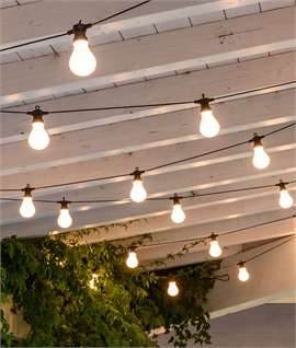 Pro Grade Traditional Festoon String Lights for 20 Bulbs