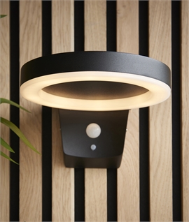 Solar Powered Wall Light with PIR Movement Detector