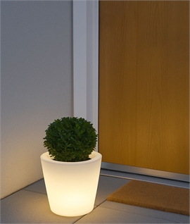 Single Illuminated Plant Pot - Measures 280mm