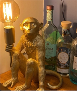 Gold Monkey Table Lamp - Holding Lamp