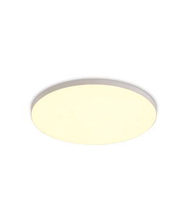 White 20W Downlight LED,  IP20 Complete with 700mA driver.