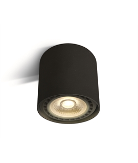 Black 15W GU10, R111 Ceiling Light.