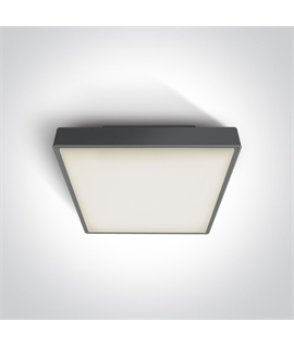 Anthracite 24W LED plafo light, IP65, ideal for both indoor and outdoorinstallation.