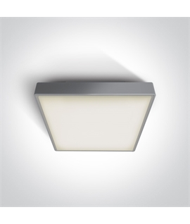 Grey 16W Emergency LED plafo light, IP65, ideal for both indoor and outdoorinstallation.