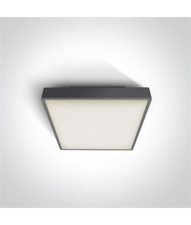Anthracite E27 plafo light, ABS body and PC diffuser, IP65 rate, ideal for indoorand outdoor application.