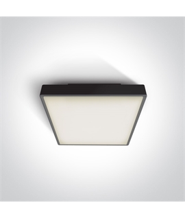 Black E27 plafo light, ABS body and PC diffuser, IP65 rate, ideal for indoorand outdoor application.