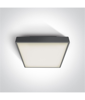 Anthracite 2xE27 plafo light, ABS body and PC diffuser, IP65 rate, ideal for indoorand outdoor application.