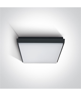 Anthracite 25W LED slim plafo, IP54, ideal for both indoor and outdoorinstallation.