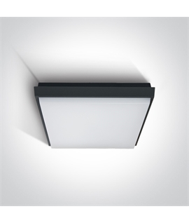 Anthracite 30W LED slim plafo, IP54, ideal for both indoor and outdoorinstallation.