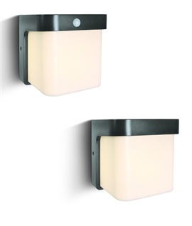 Modern Anthracite LED Exterior Wall Light 