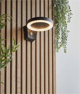 Solar Powered Wall Light with PIR Movement Detector