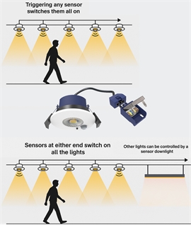 Recessed Downlight with Integrated Multi-Sensor PIR - Clean Ceiling Fire Rated 70mm Hole 7W CCT LED