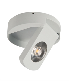 Surface Mounted LED Scoop Light
