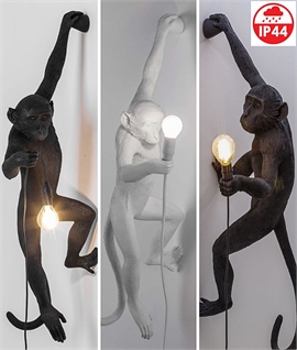 Monkey Wall Light - IP44 for Outdoor